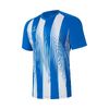 Футболка игровая JOGEL CAMP Striped Jersey