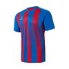 Футболка игровая JOGEL CAMP Striped Jersey