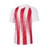 Футболка игровая JOGEL CAMP Striped Jersey